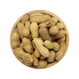 Kavrulmuş Kabuklu Fıstık 100 Gram